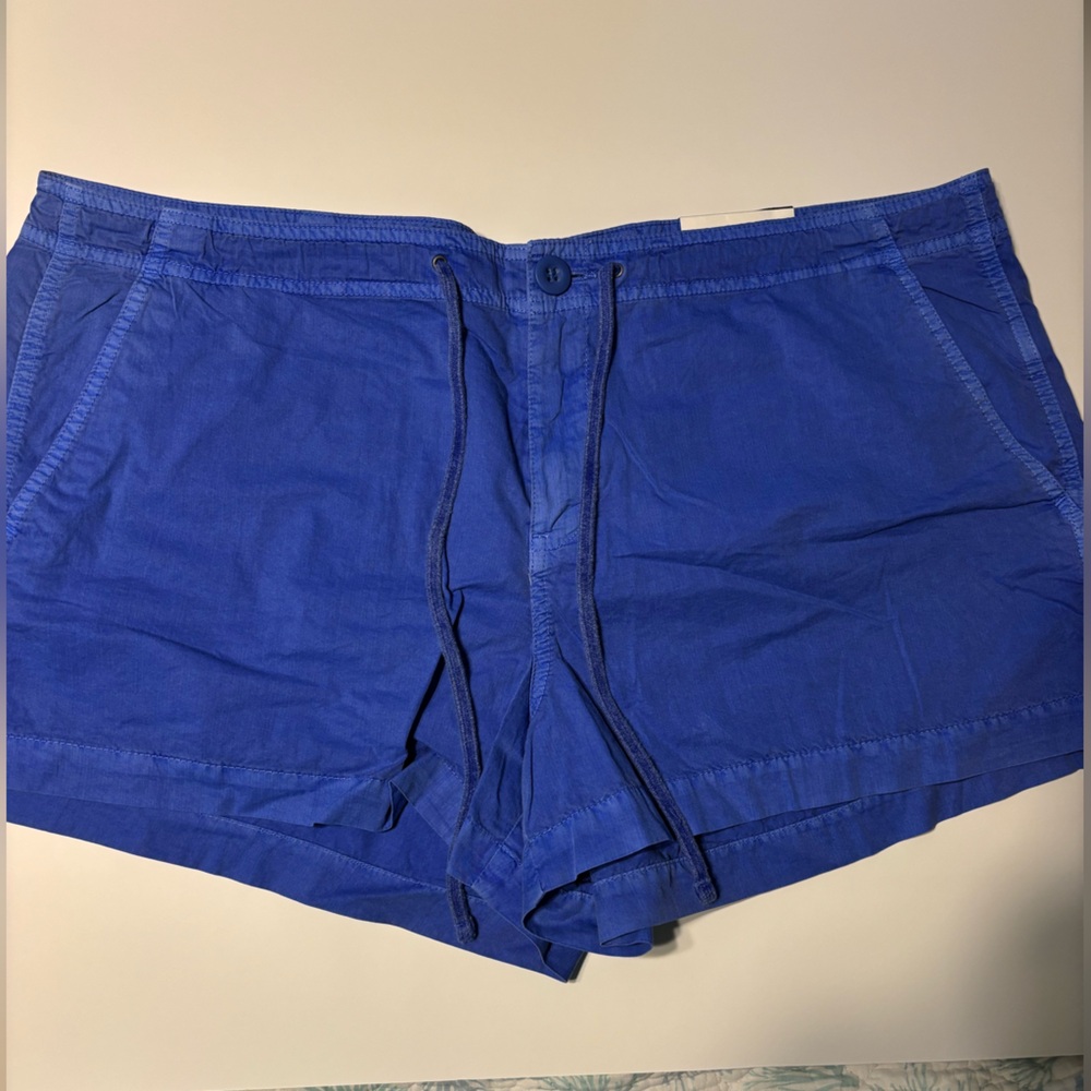 GAP Women's Blue Shorts